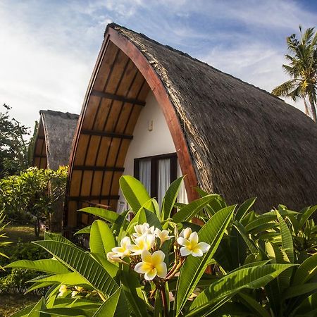 Diversia Diving Club & Bungalows กีลีตราวางัน ภายนอก รูปภาพ